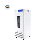 Tủ ấm BOD BONNIN SPX-250 (251L; 5℃-50℃; 810W)
